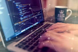 你真的適合學習編程嗎？信息科技領域技術開發職業探索指南